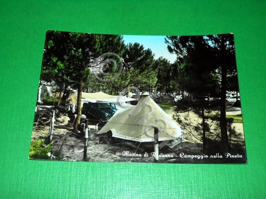 Cartolina Marina di Ravenna - Campeggio nella Pineta 1955 ca.