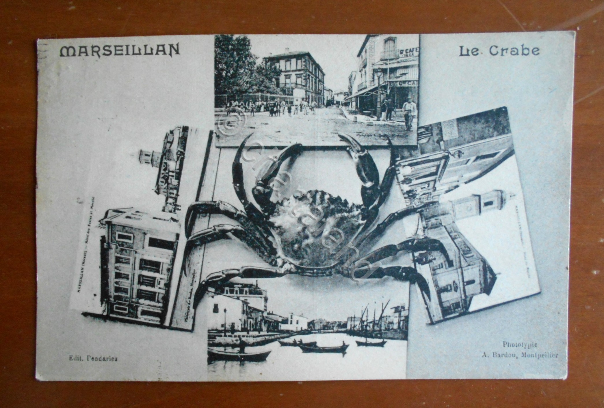 Cartolina Marseillan (Francia) - Le Crabe - 1937