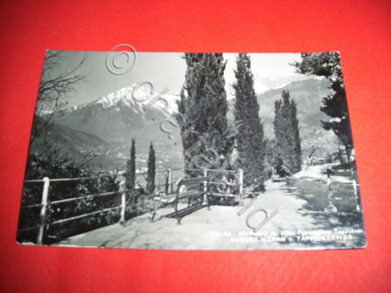 Cartolina Merano - Passeggiata Tappeiner 1956
