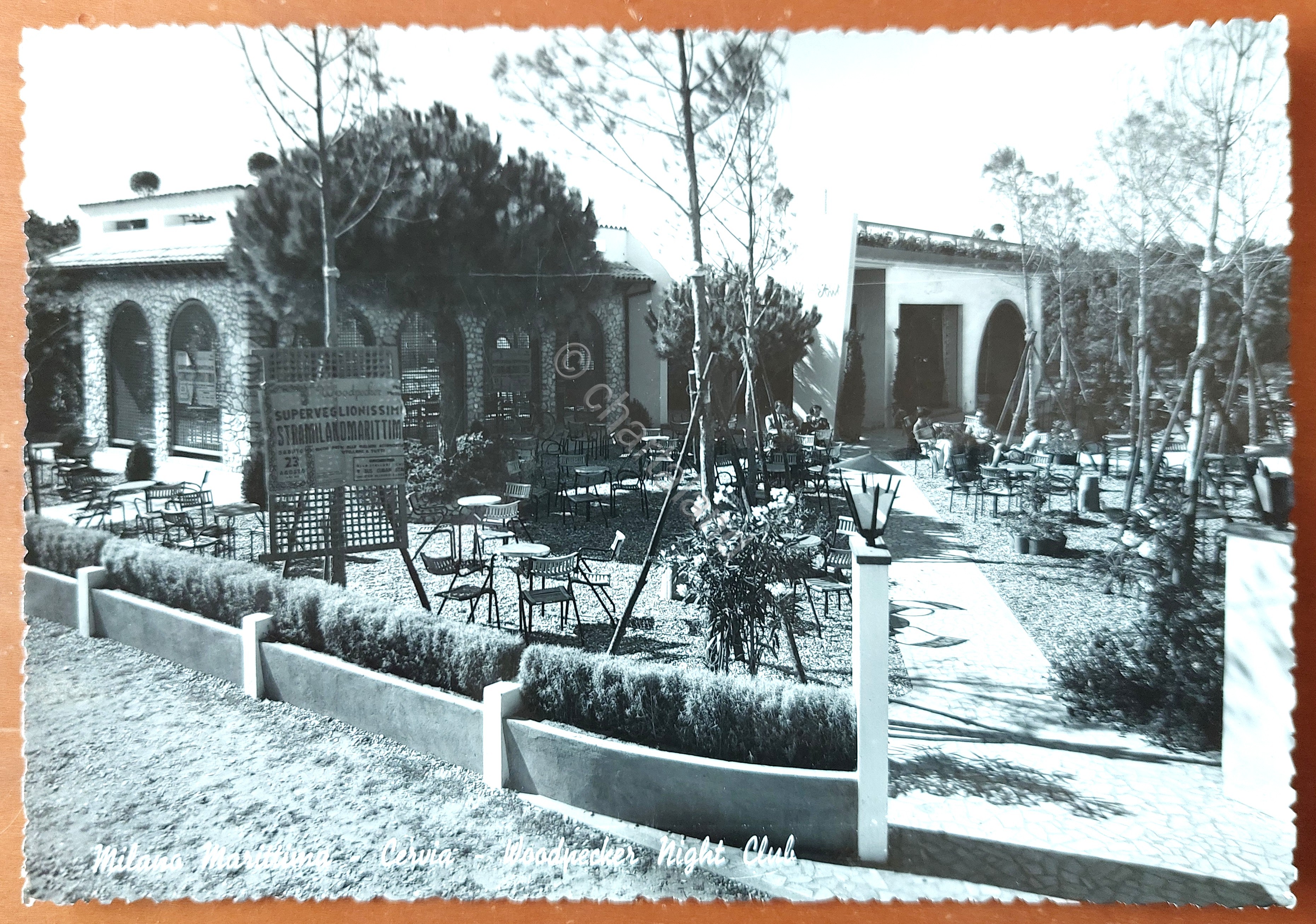 Cartolina Milano Marittima - Cervia - Woodpecker night club - …