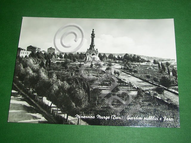 Cartolina Minervino Murge ( Bari ) - Giardini pubblici e …