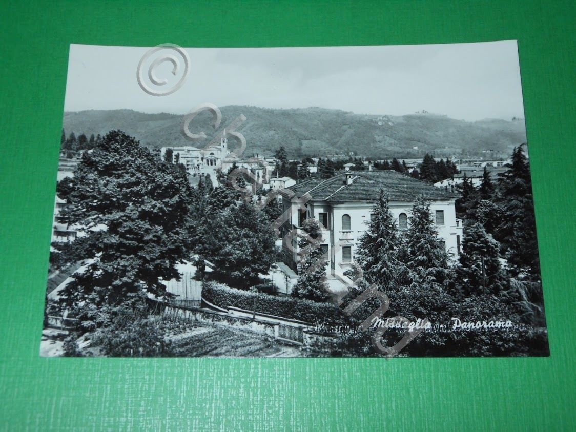 Cartolina Missaglia - Panorama 1960 ca.