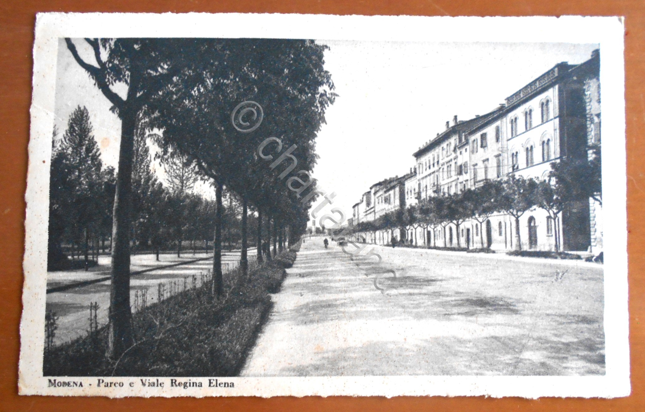 Cartolina MOdena - Parco e viale Regina Elena - 1933