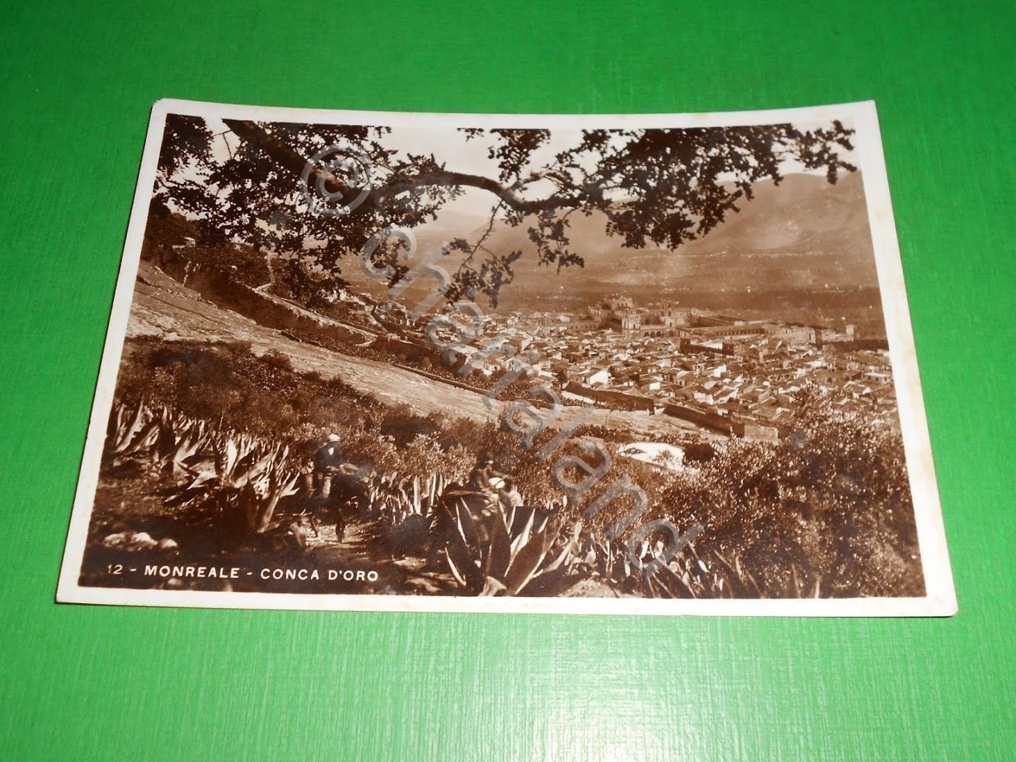 Cartolina Monreale - Conca d' Oro 1937.
