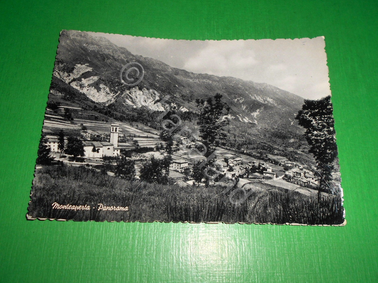 Cartolina Monteaperta - Panorama 1956.