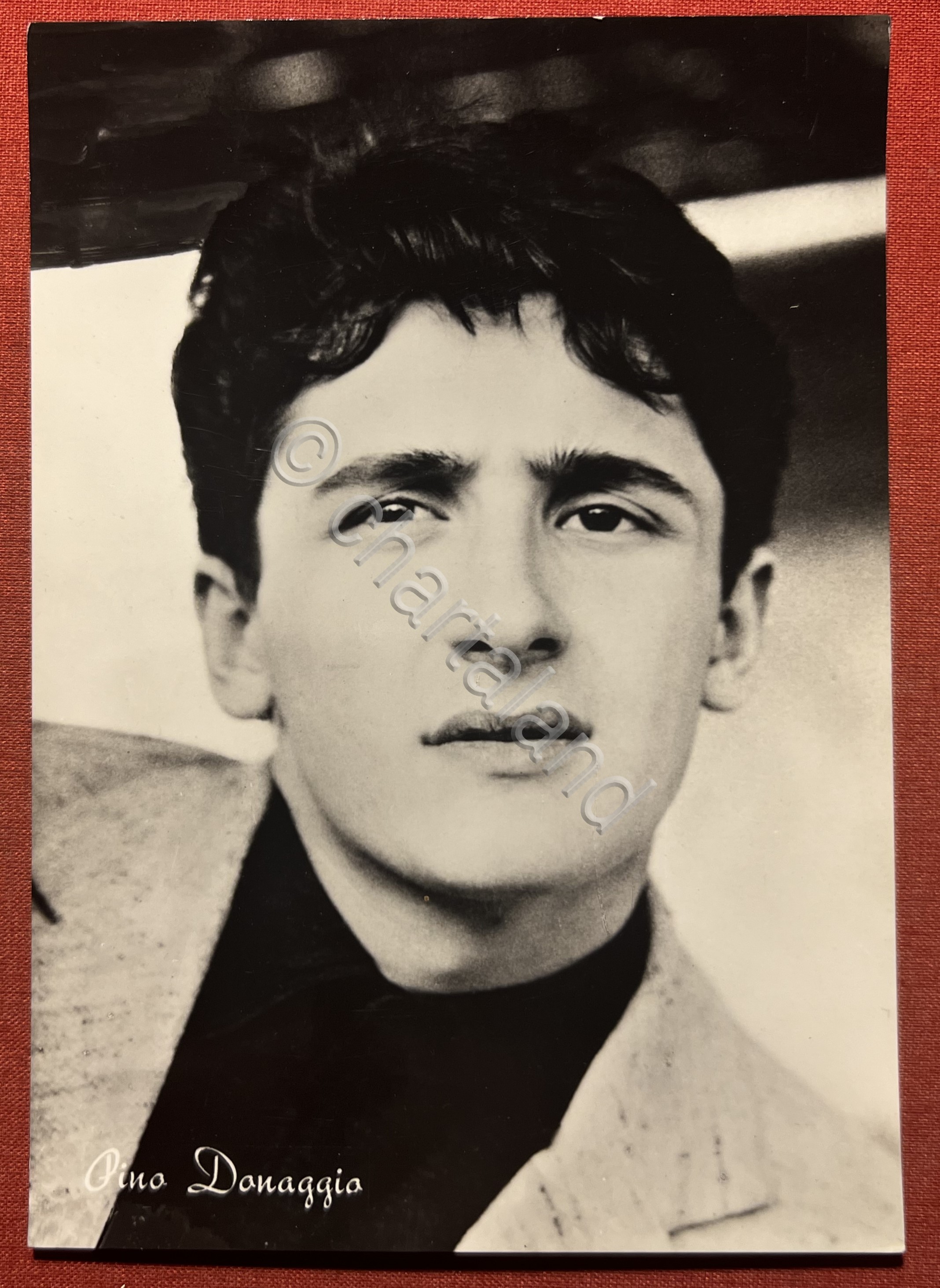 Cartolina Musica - Cantautore e compositore Pino Donaggio - 1960 …