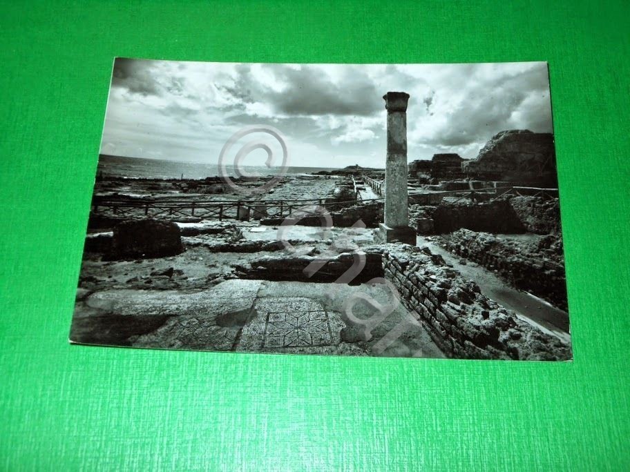 Cartolina Nora - Pula ( Cagliari ) - Particolare del …