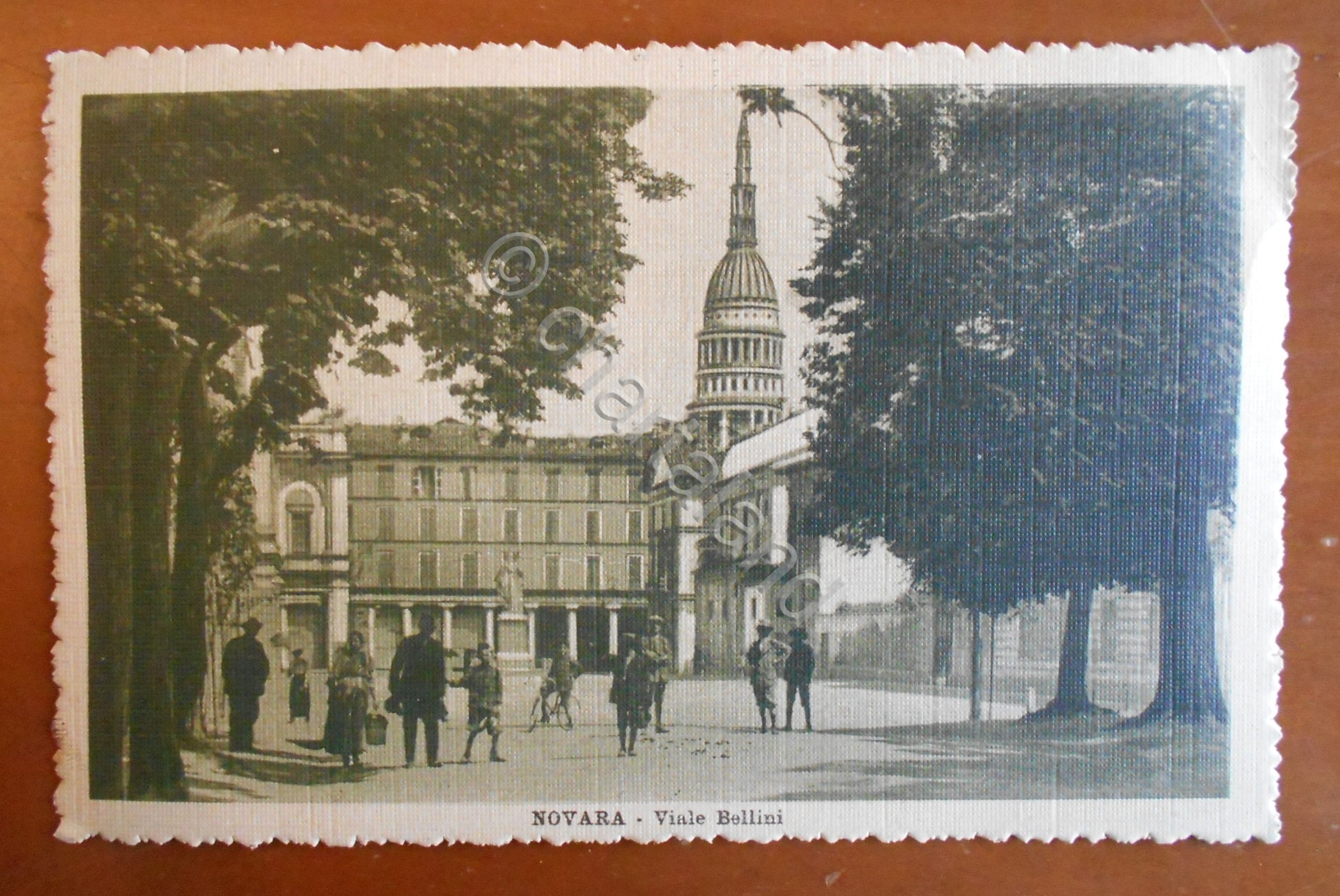Cartolina Novara - Viale Bellini - 1915