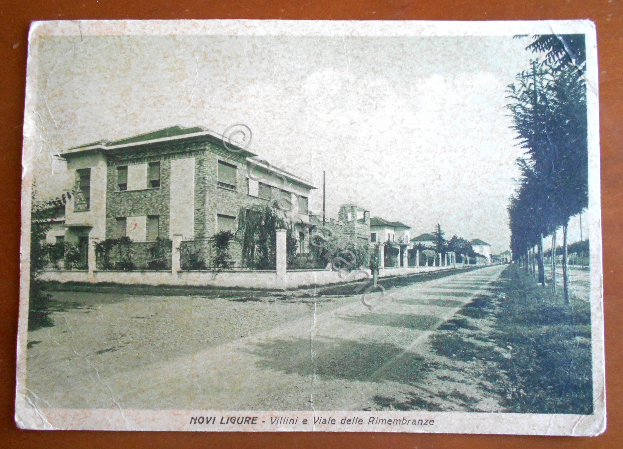 Cartolina Novi Ligure - Villini e Viale delle Rimembranze - …