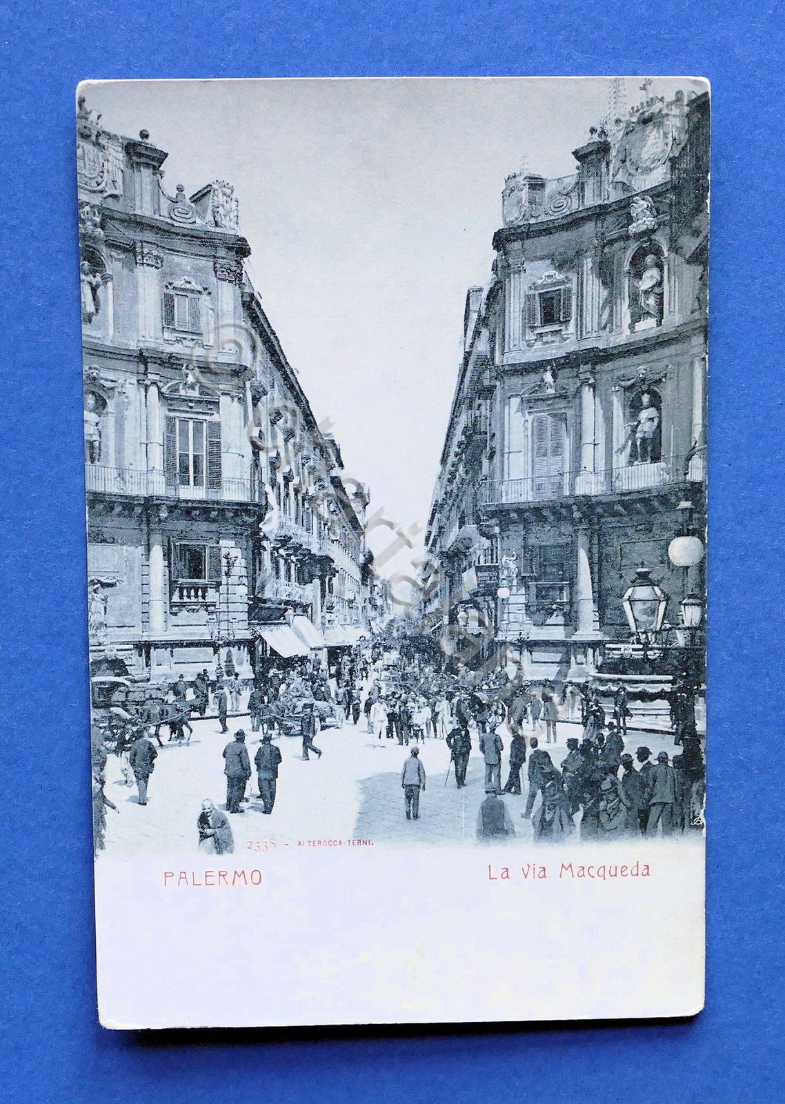 Cartolina Palermo - Via Macqueda - 1905 ca..