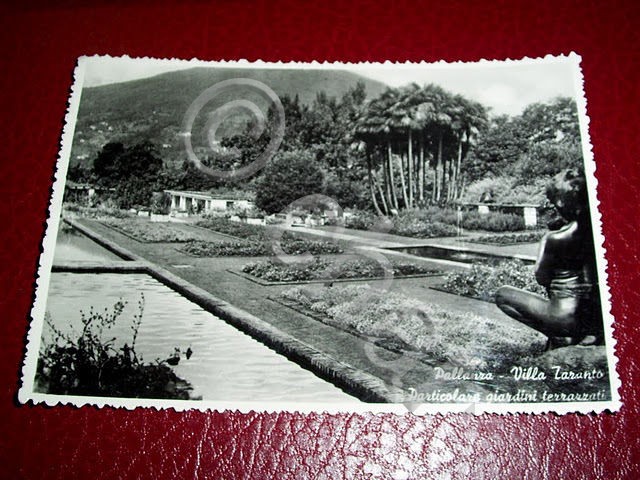 Cartolina Pallanza - Villa Taranto Giardini terrazzati