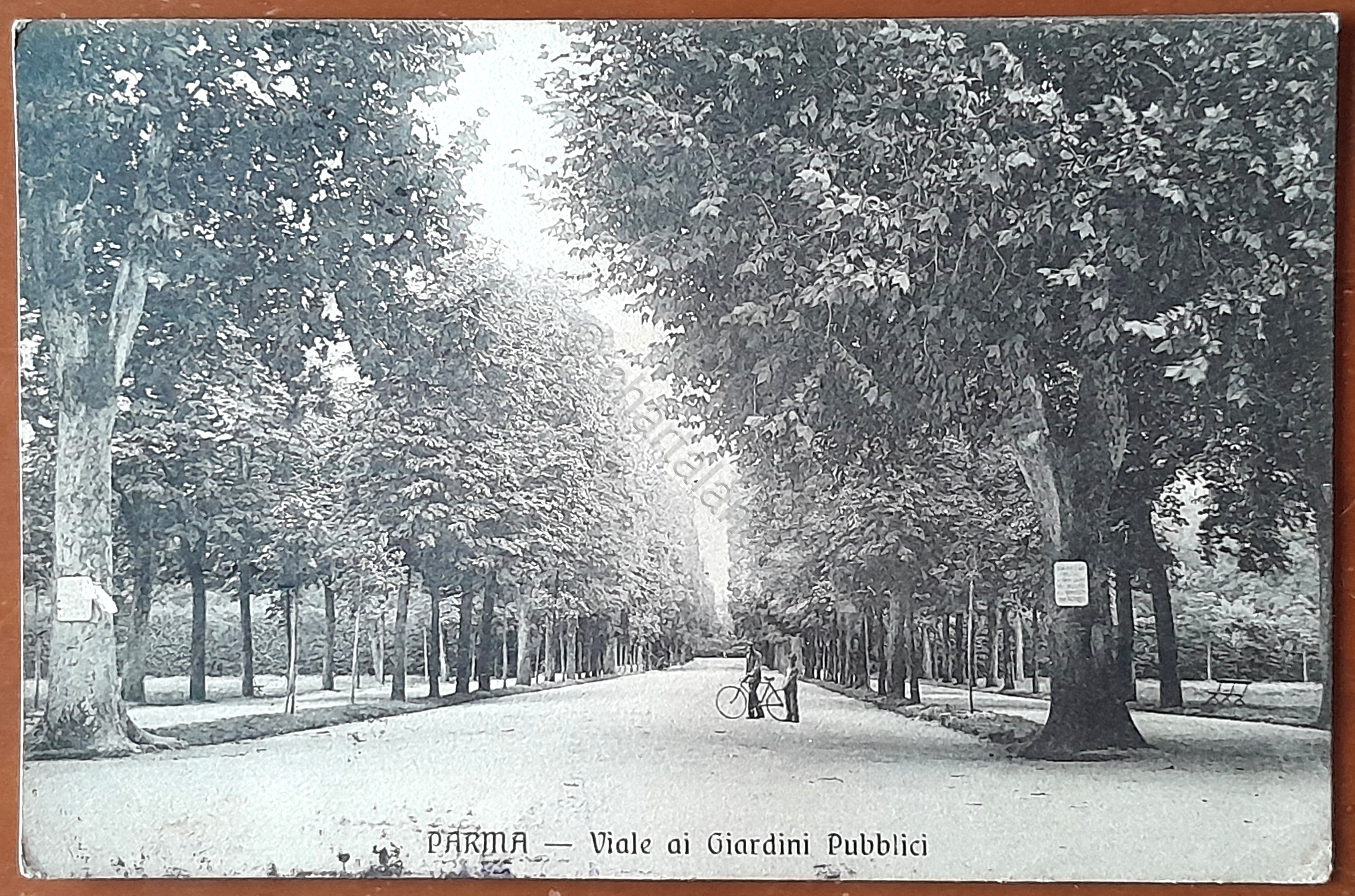 Cartolina Parma - Viale ai Giardini Pubblici - 1914