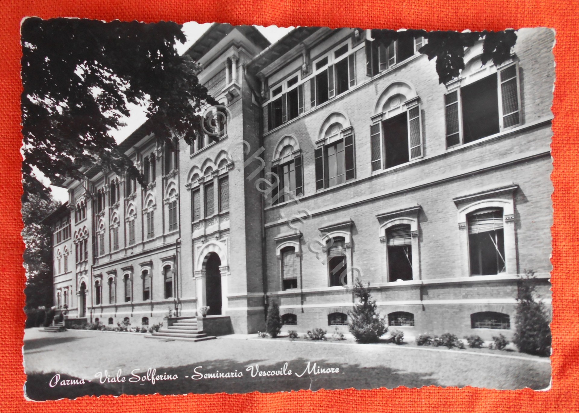 Cartolina Parma - Viale Solferino - Seminario Vescovile Minore - …