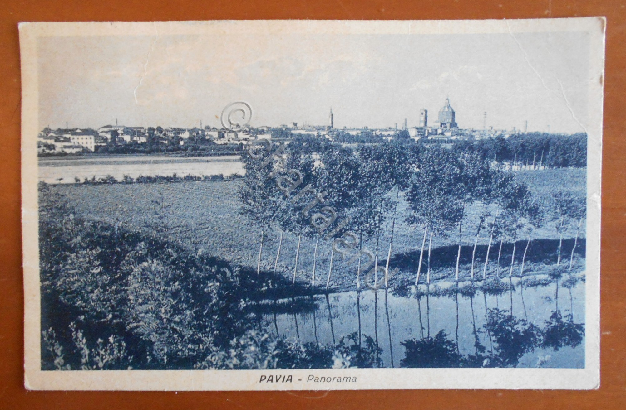 Cartolina Pavia - Panorama - 1931