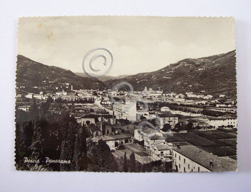 Cartolina Pescia ( Pistoia ) - Panorama 1954