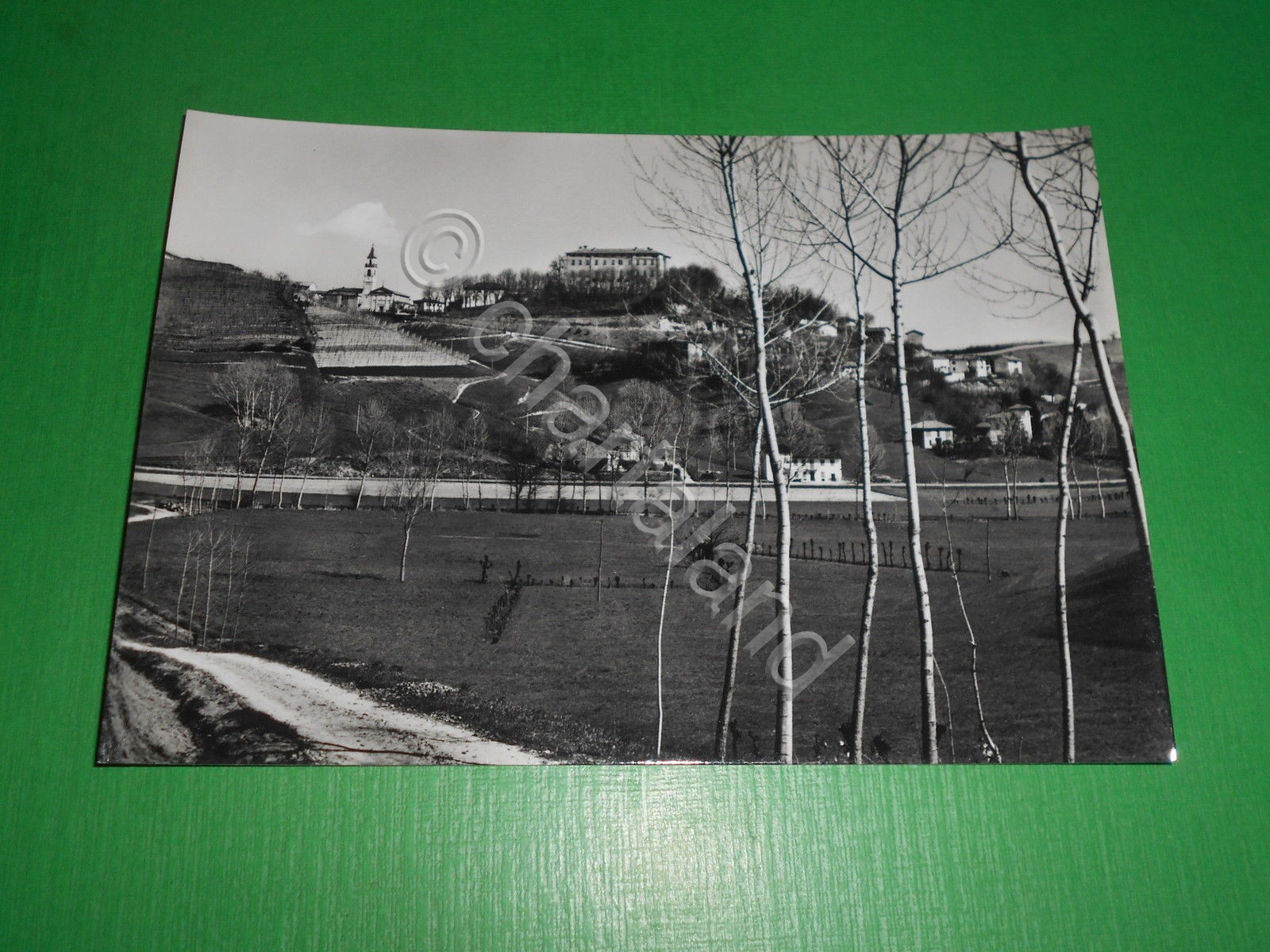 Cartolina Piea ( Asti ) - Castello 1960 ca.