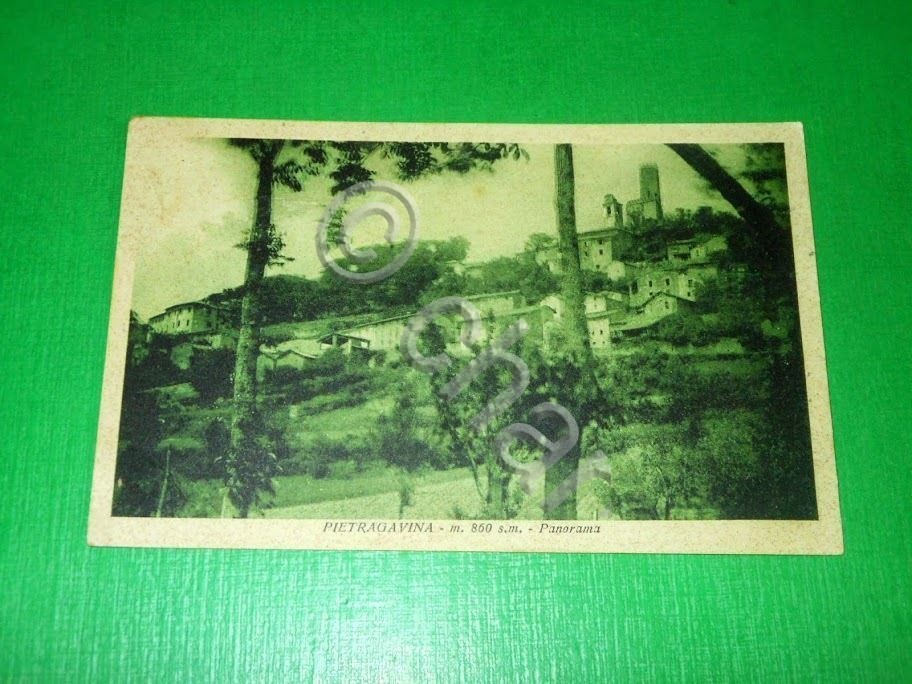 Cartolina Pietragavina - Panorama 1934.