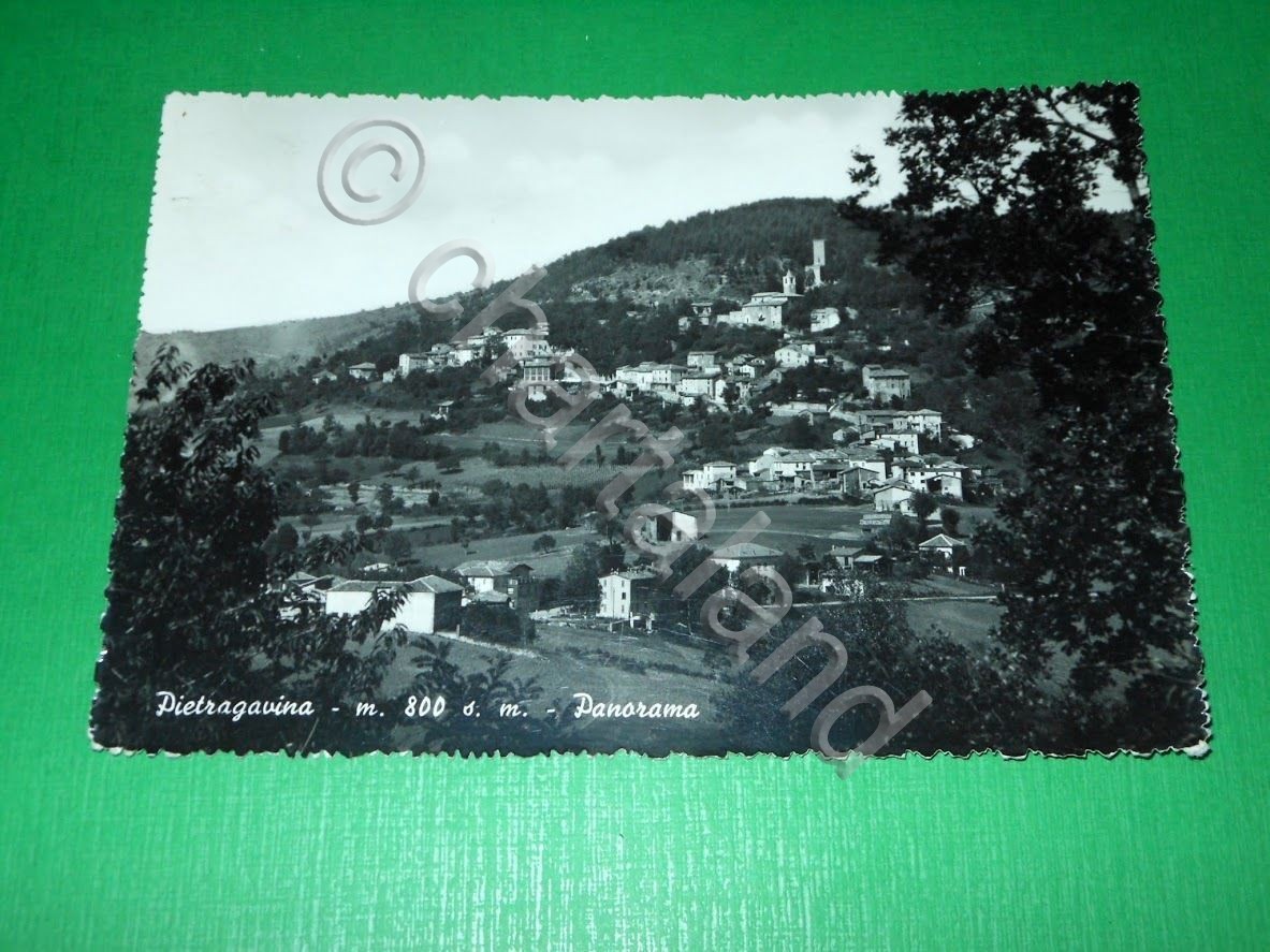 Cartolina Pietragavina - Panorama 1955 ca.