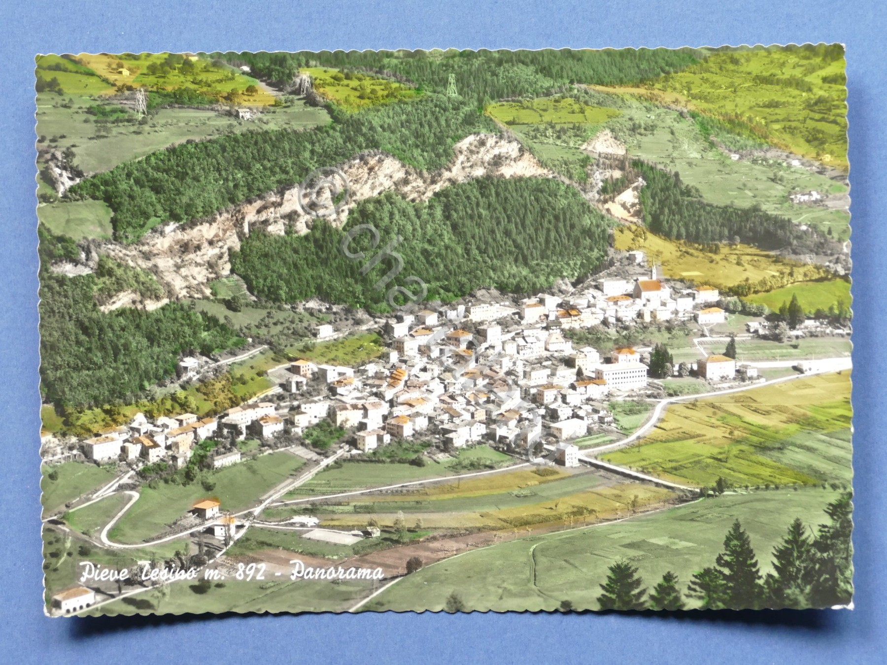 Cartolina Pieve Tesino - Panorama - 1951