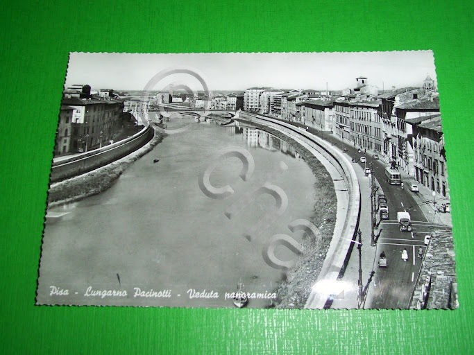 Cartolina Pisa - Lungarno Pacinotti - Veduta panoramica 1950 ca.