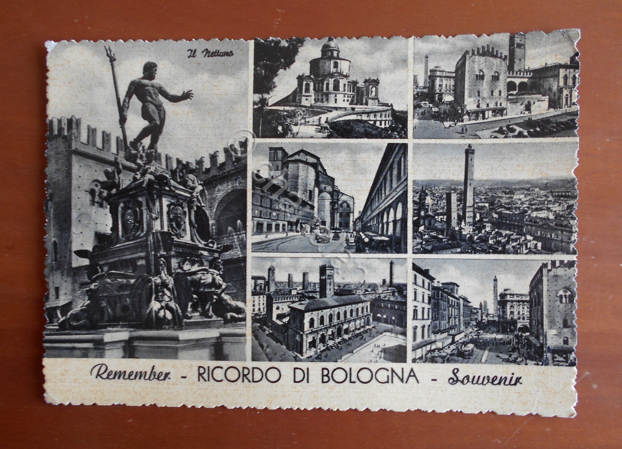 Cartolina Remember - Ricordo di Bologna - Souvenir - 1955