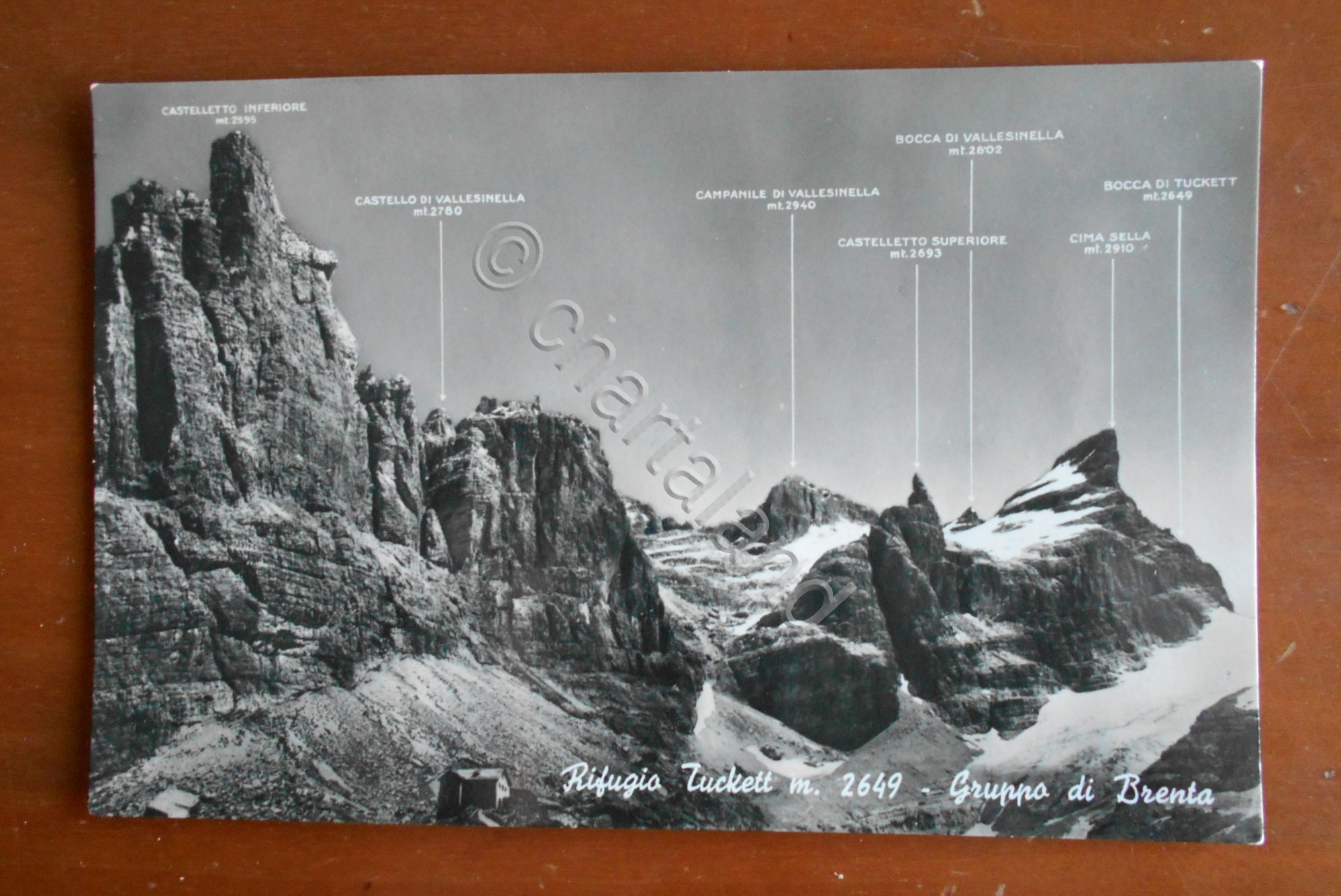 Cartolina Rifugio Tuckett m. 2649 - Gruppo di Brenta - …