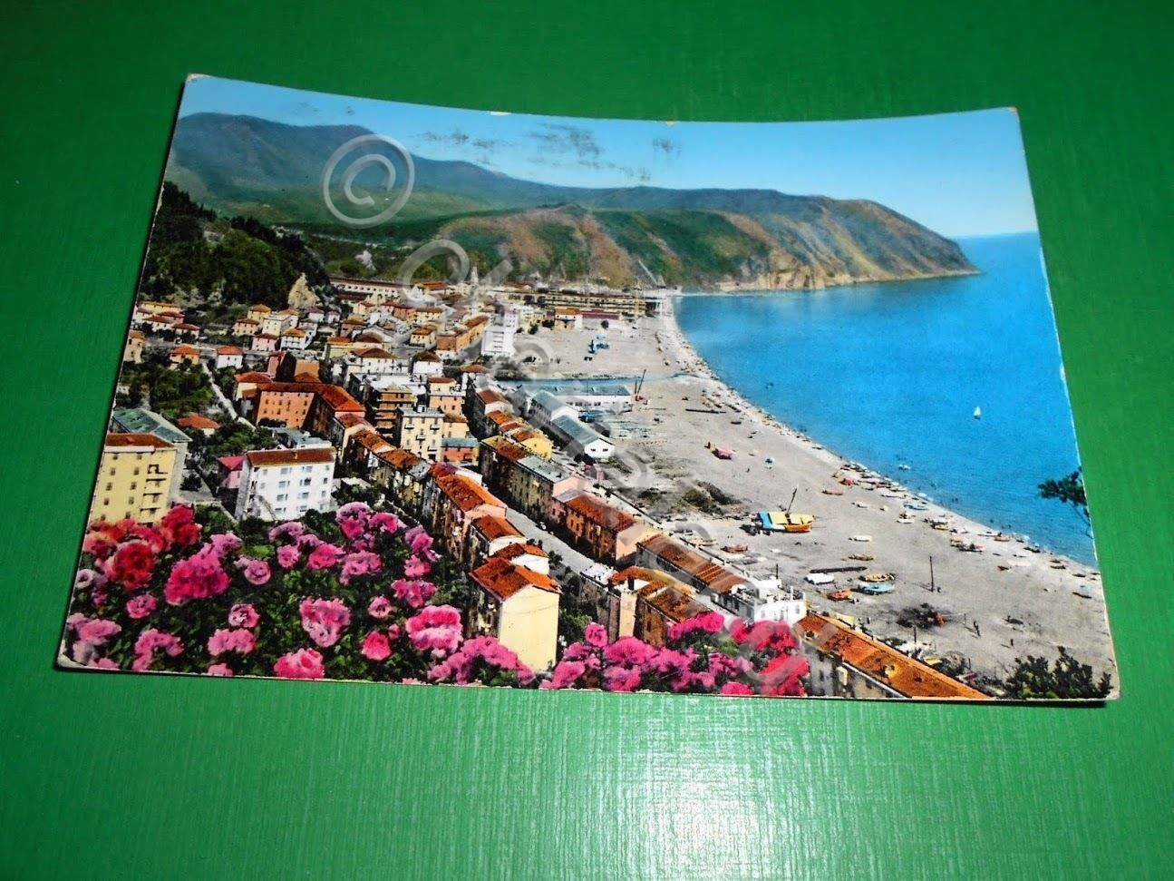 Cartolina Riva Trigoso - Panorama - 1964.