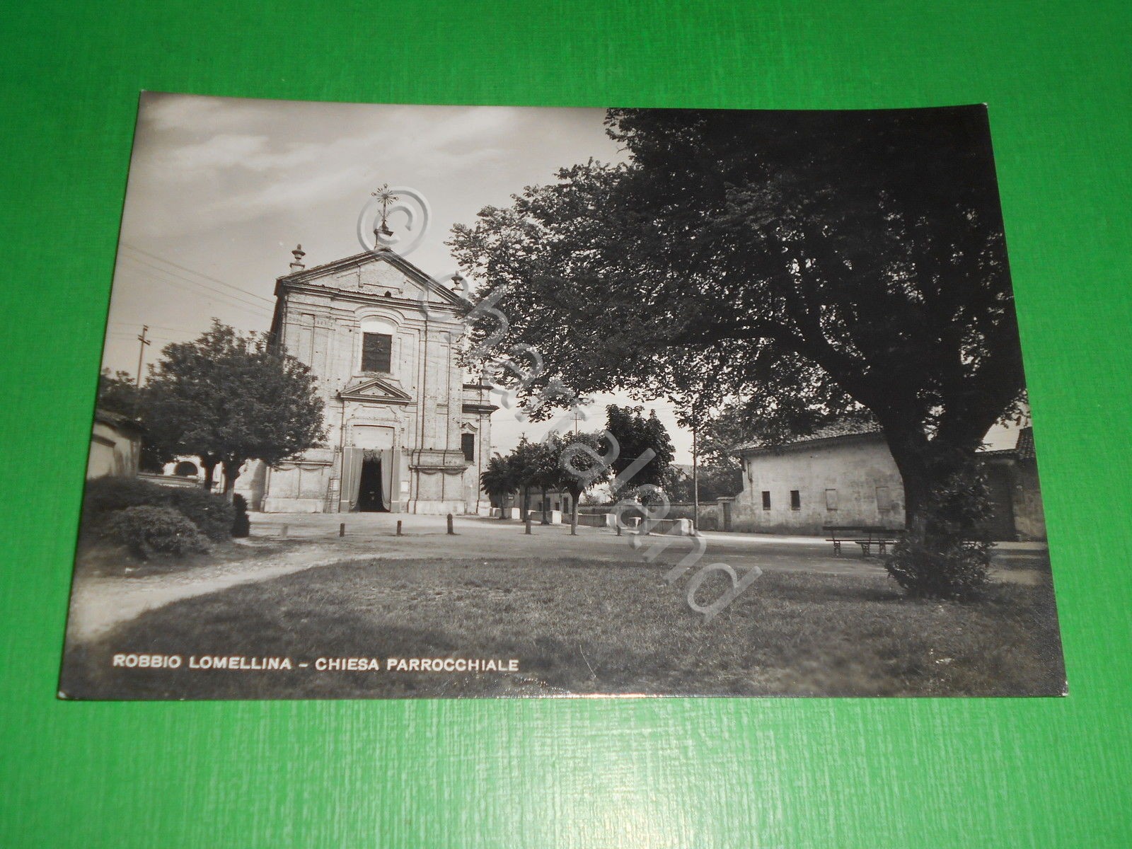 Cartolina Robbio Lomellina ( Pavia ) - Chiesa Parrocchiale 1960 …