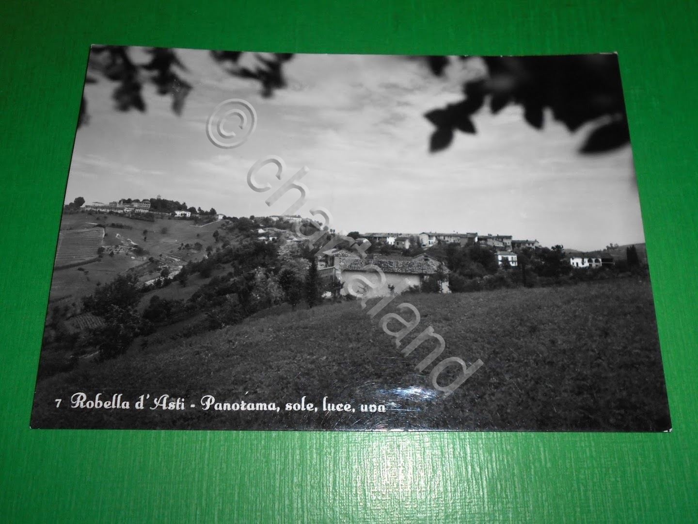 Cartolina Robella d' Asti - Panorama 1955