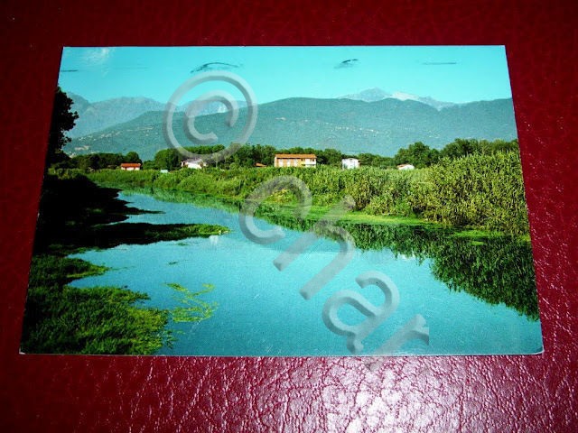 Cartolina Ronchi - Fosso Magliano - Panorama 1971.