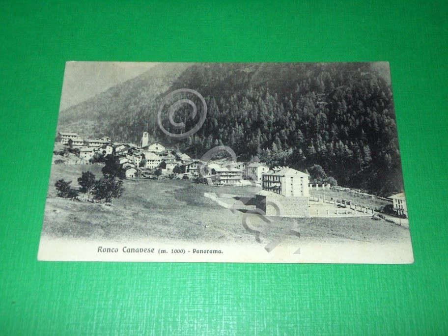 Cartolina Ronco Canavese - Panorama 1913