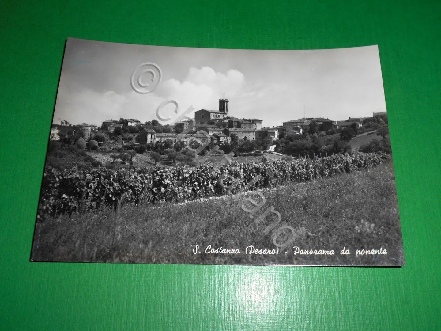 Cartolina S. Costanzo ( Pesaro ) - Panorama da ponente …