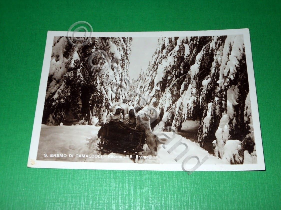 Cartolina S. Eremo di Camaldoli ( Arezzo ) - Ritorno …