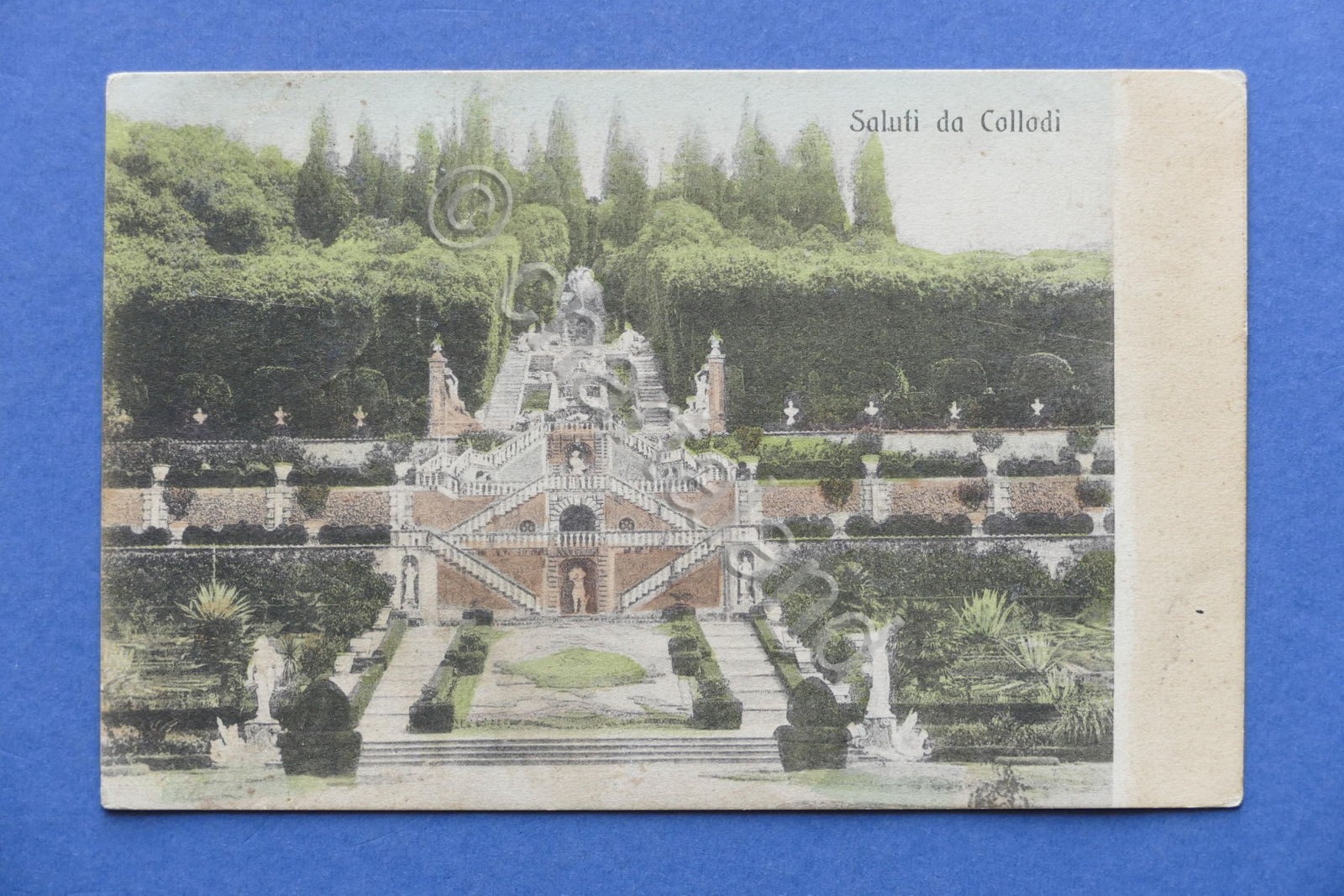 Cartolina Saluti da Collodi - 1913.