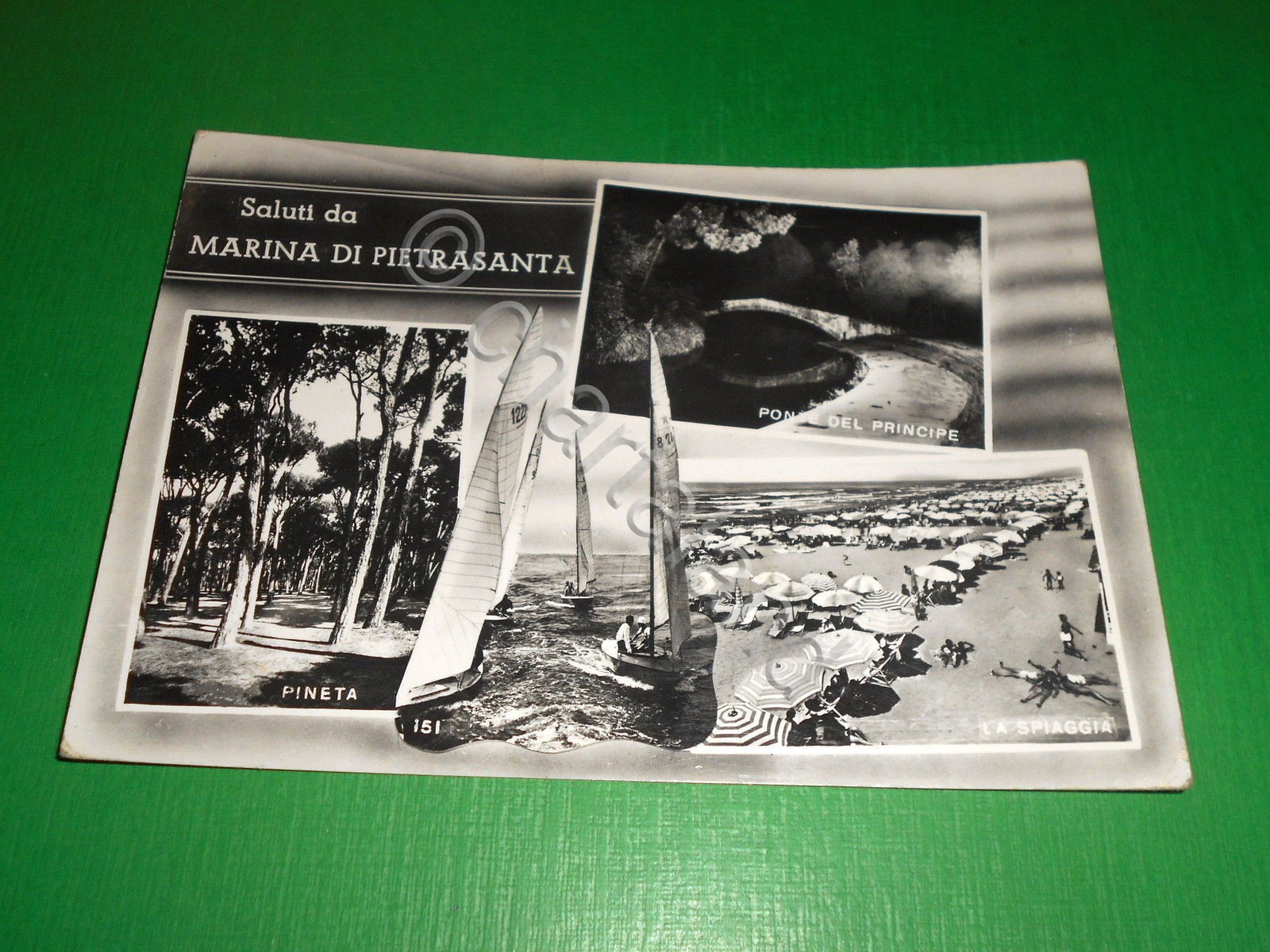 Cartolina Saluti da Marina di Pietrasanta - Vedute diverse 1960.