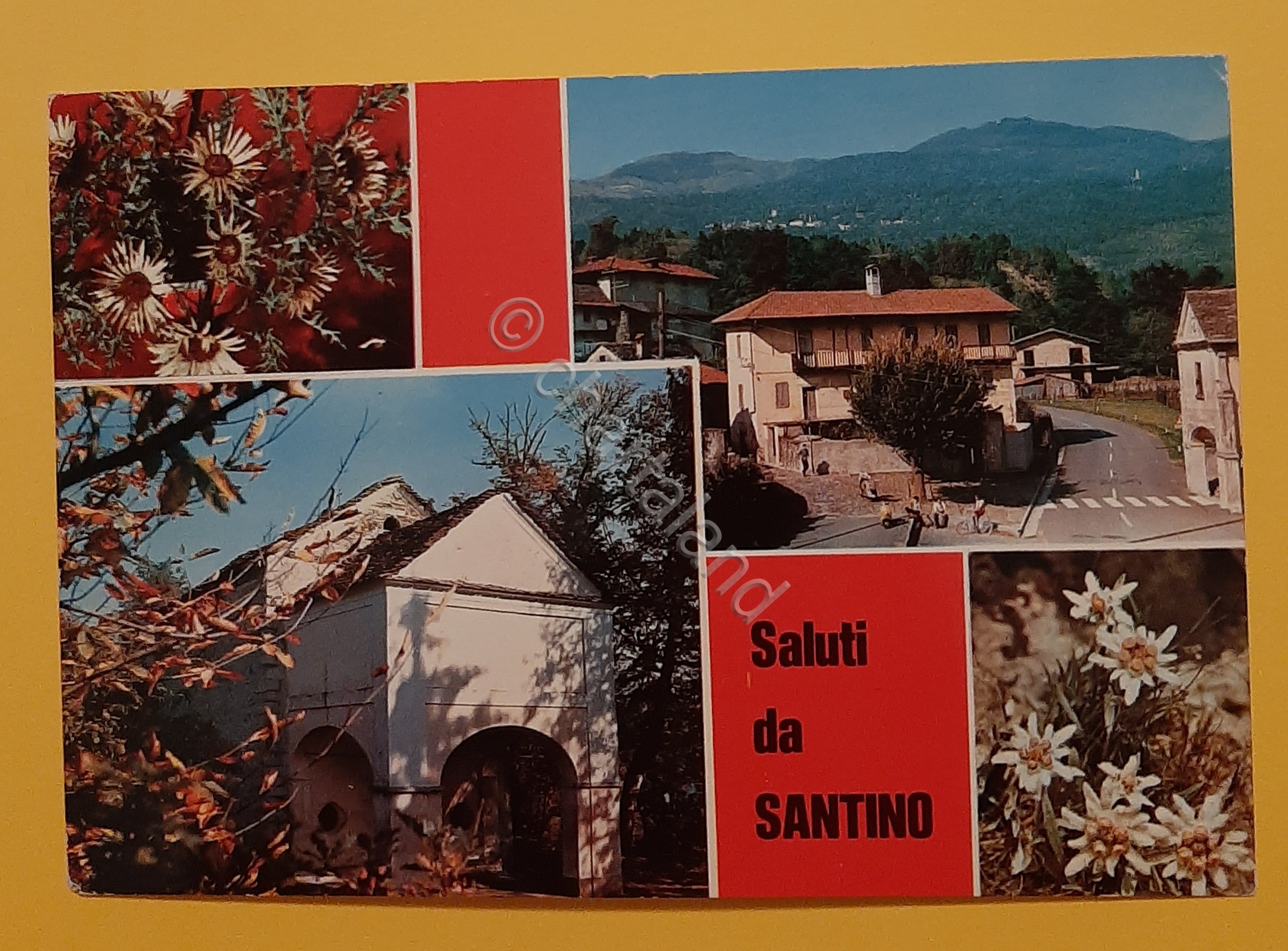 Cartolina Saluti da Santino ( NO ) - 1990