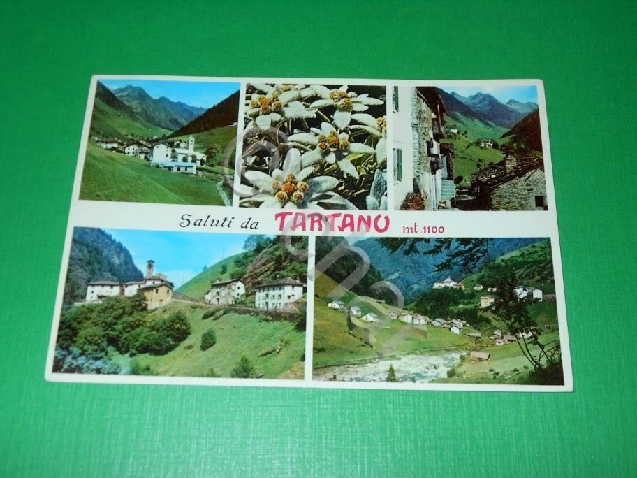 Cartolina Saluti da Tartano - Vedute diverse 1964