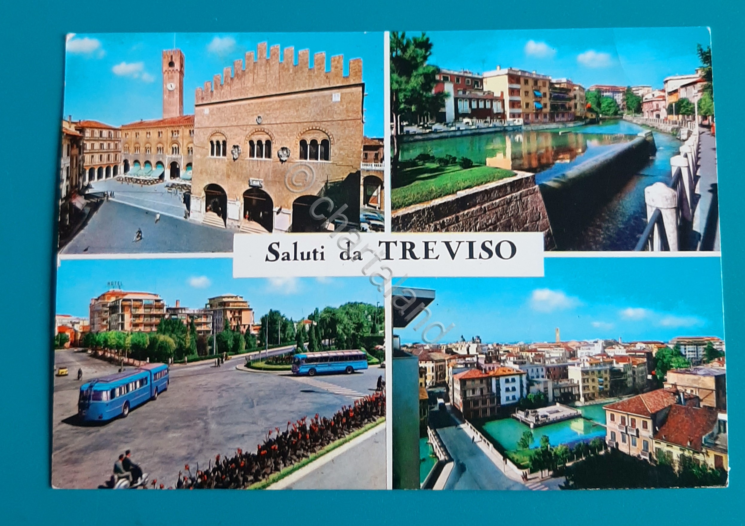 Cartolina Saluti da Treviso - 1967