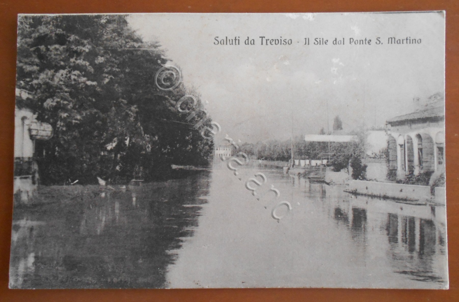 Cartolina Saluti da Treviso - Il Sile dal Ponte S. …