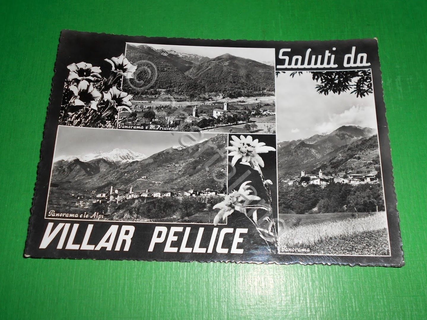 Cartolina Saluti da Villar Pellice - Vedute 1959.