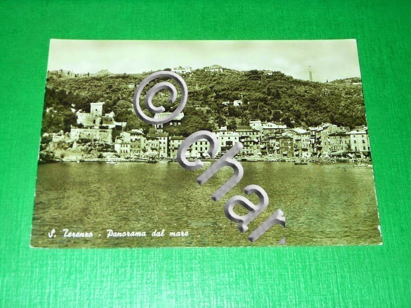 Cartolina San Terenzo - Panorama dal mare 1950 ca.
