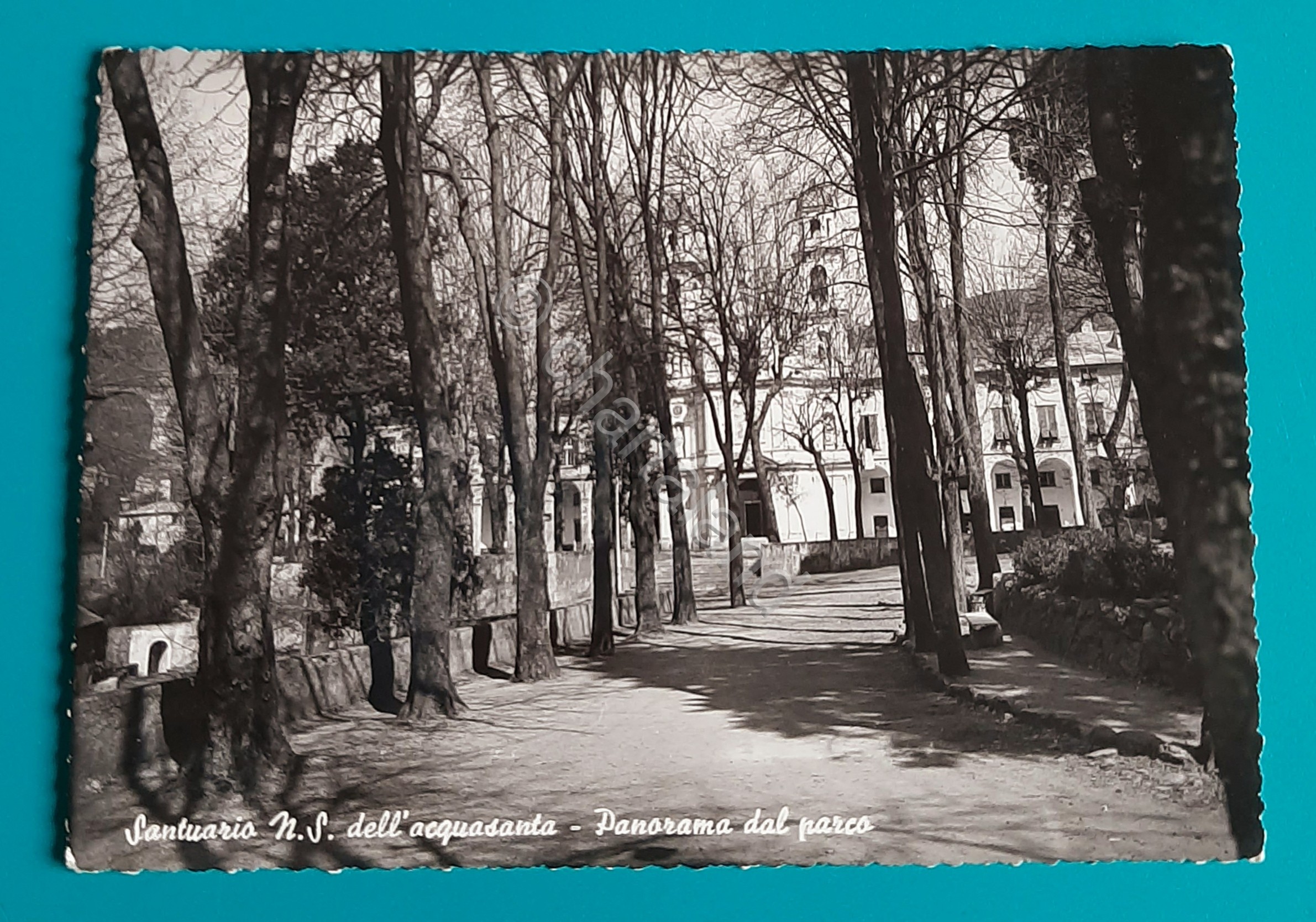 Cartolina Santuario N. S. dell' Acquasanta - Panorama dal Parco …