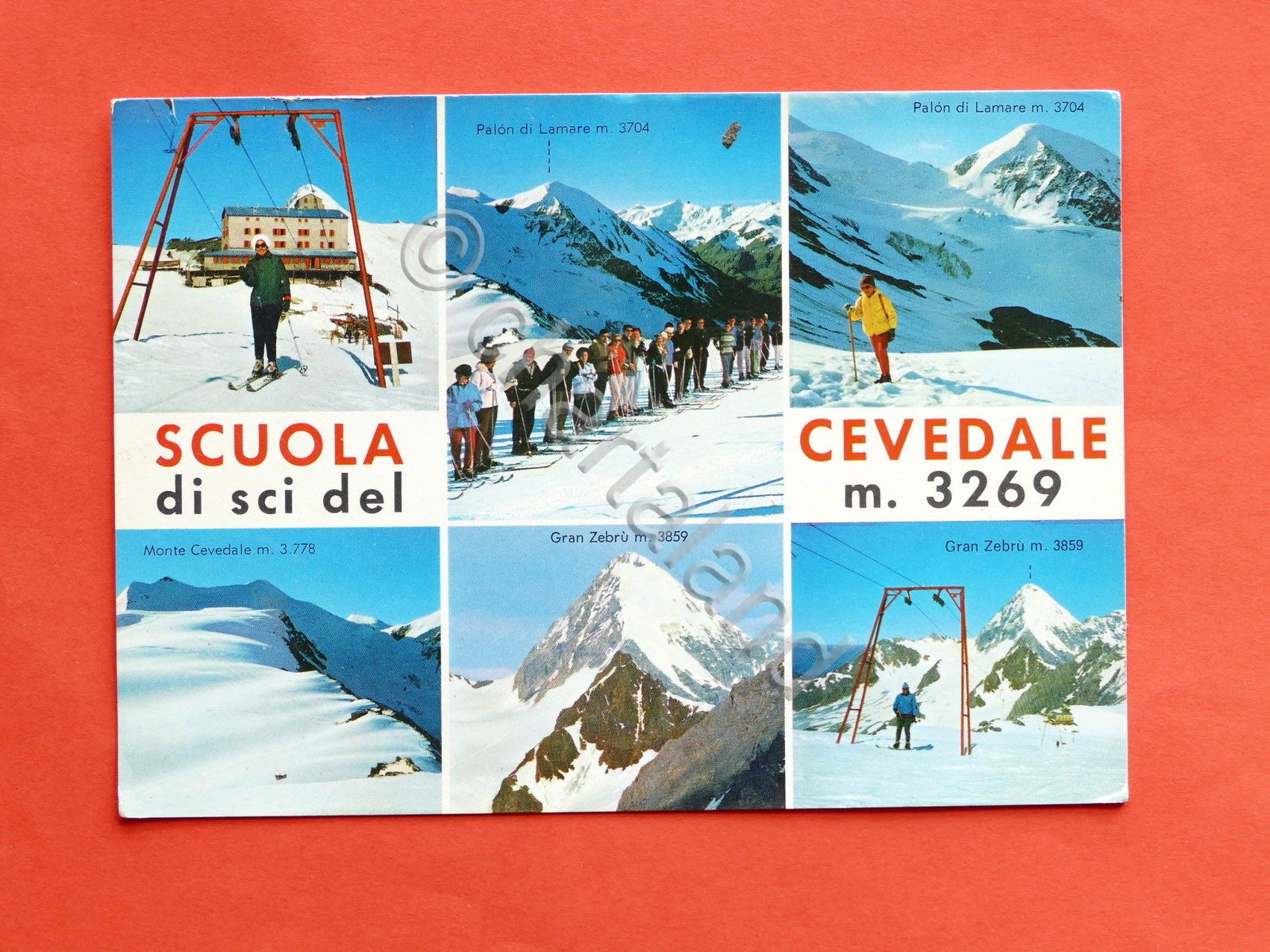Cartolina Scuola di Sci del Cevedale - 1970 ca.
