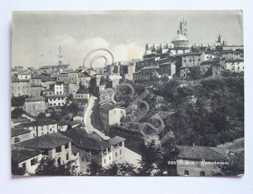 Cartolina Siena -- Panorama 1962.