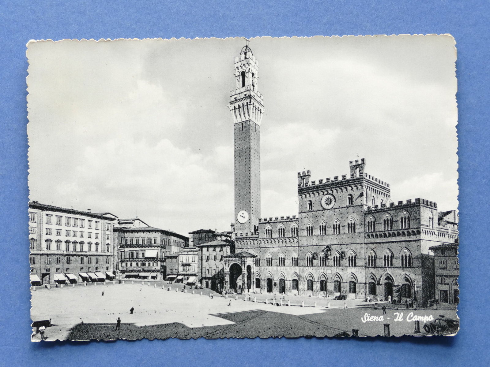 Cartolina Siena - il Campo - 1961.
