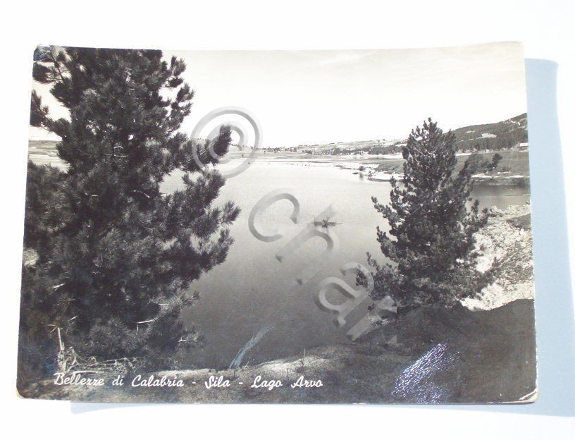 Cartolina Sila ( Catanzaro ) - Lago Arvo 1956.