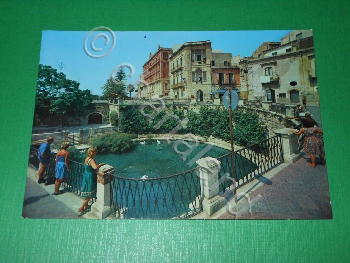 Cartolina Siracusa - Fontana Aretusa con i papiri 1965 ca.