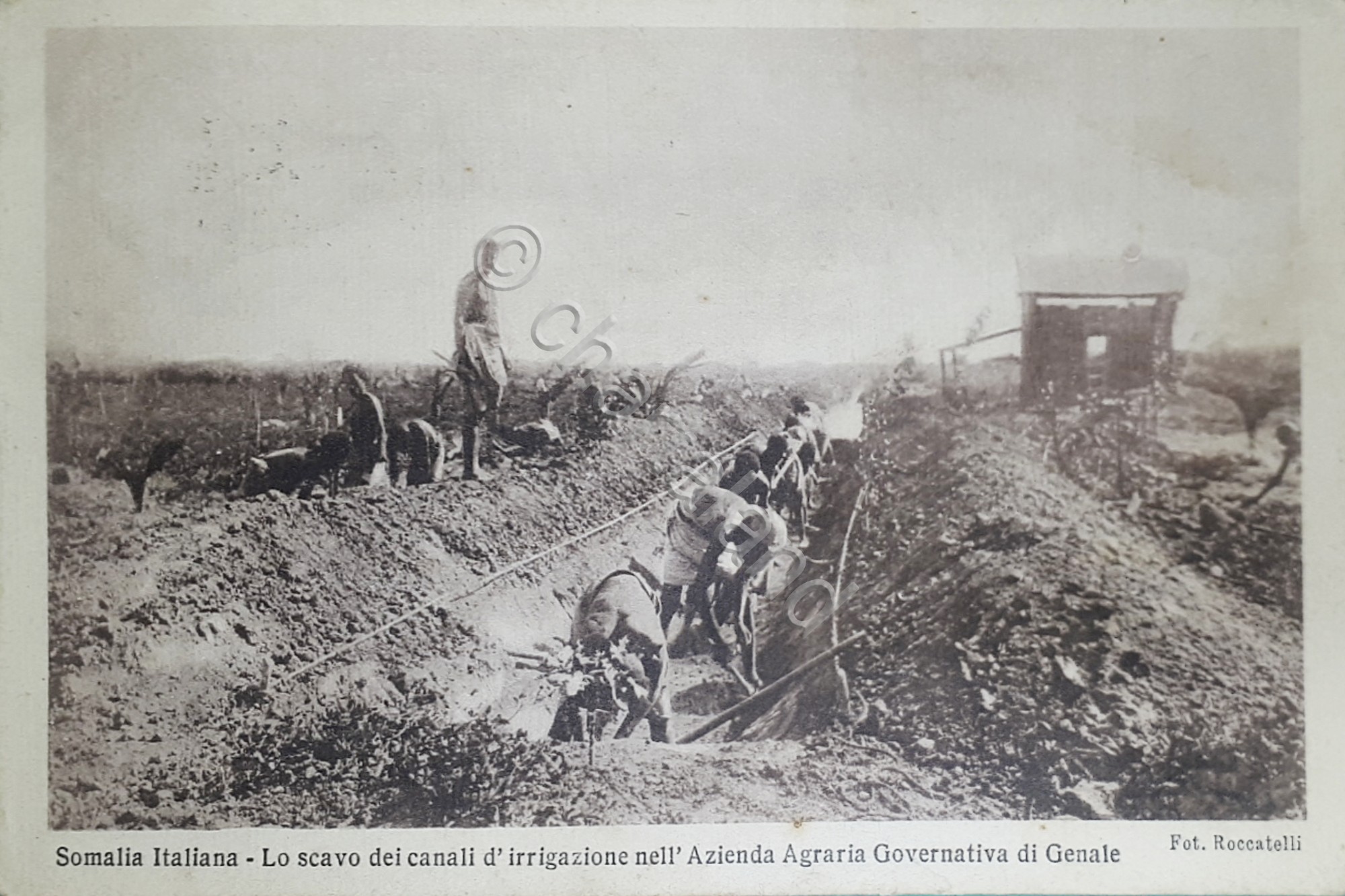 Cartolina Somalia Italiana - Lo scavo canali nel Azienda Agraria …
