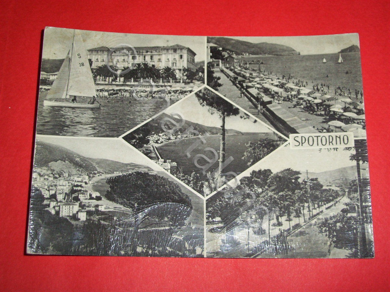Cartolina Spotorno (Savona) - Vedute diverse 1958.