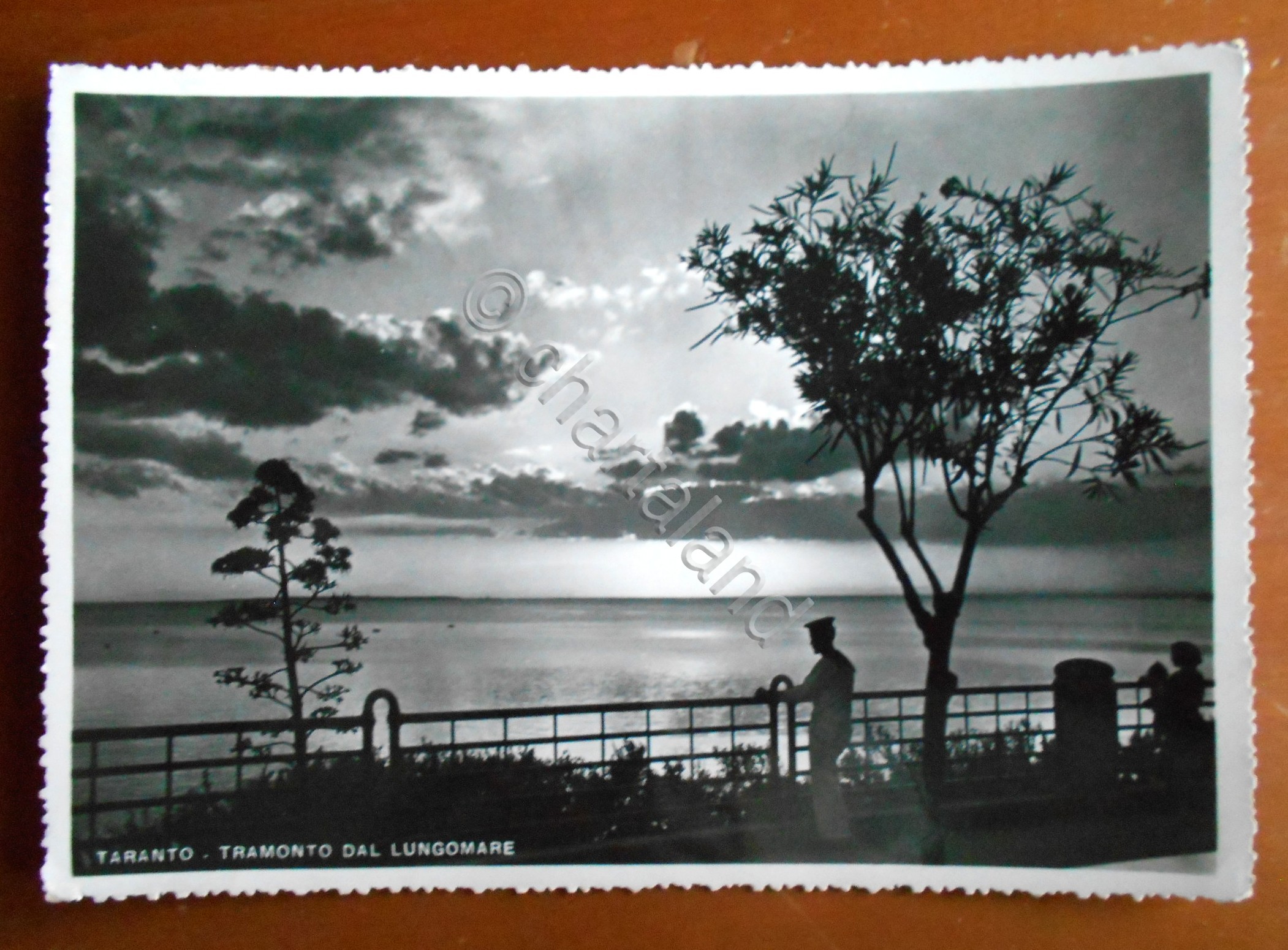 Cartolina Taranto - Tramonto dal lungomare - 1951
